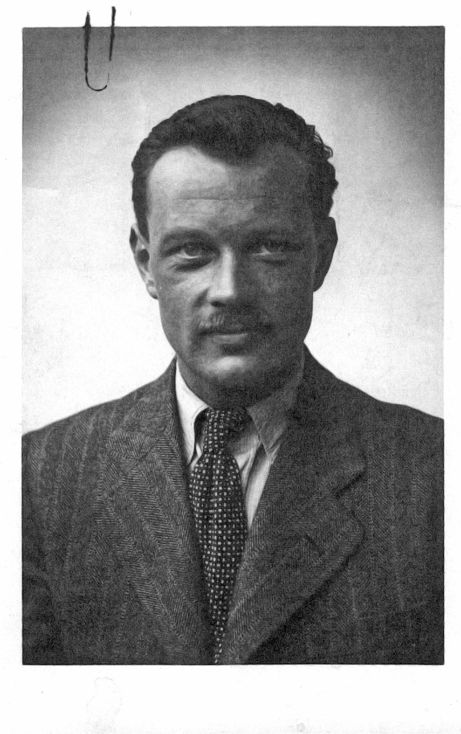 Potucek